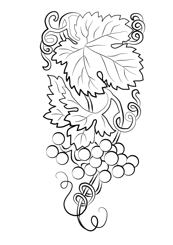 grapes-coloring-page-0001-q2