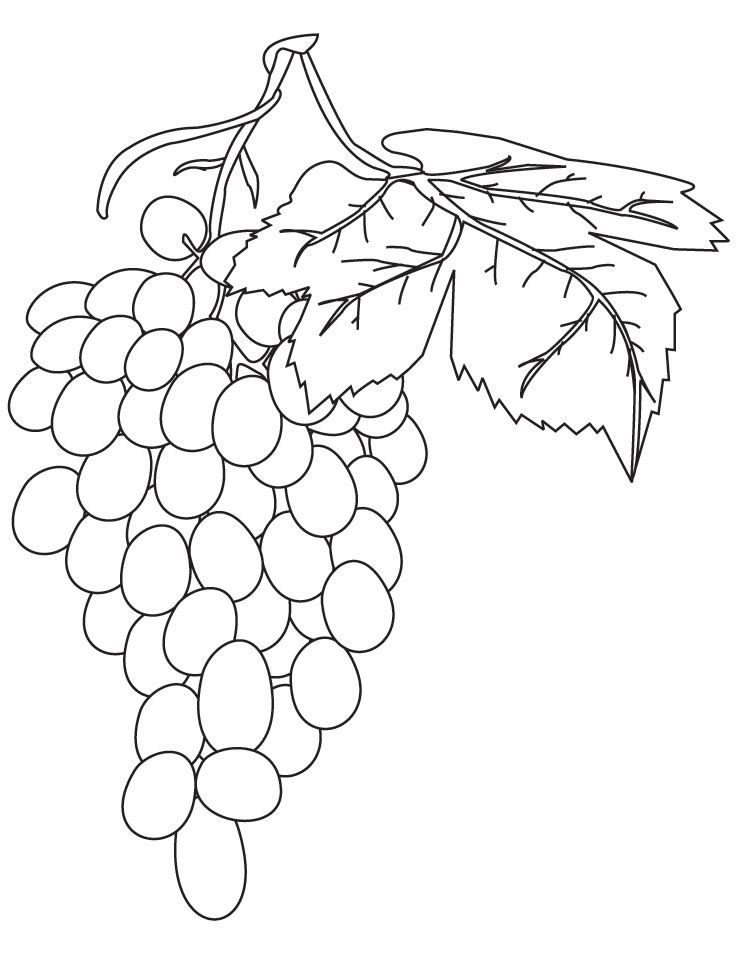 grapes-coloring-page-0013-q1