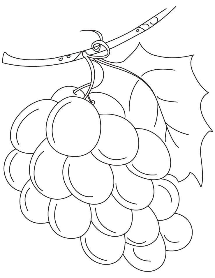 grapes-coloring-page-0016-q1