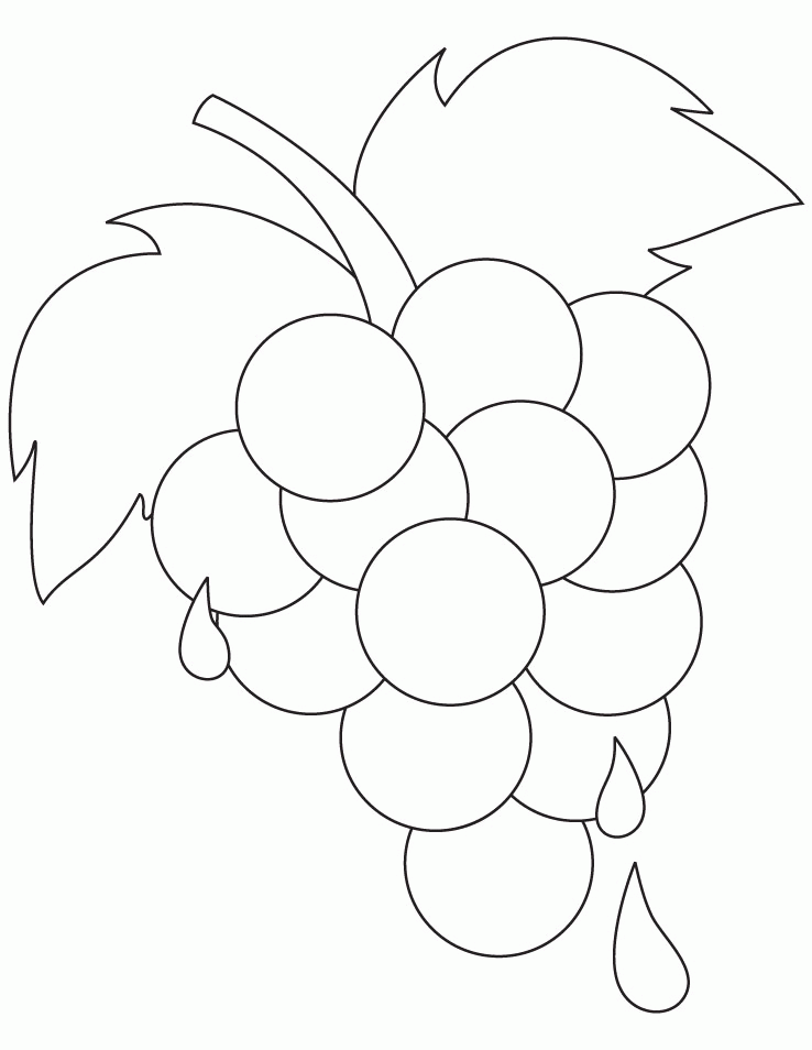 grapes-coloring-page-0029-q1