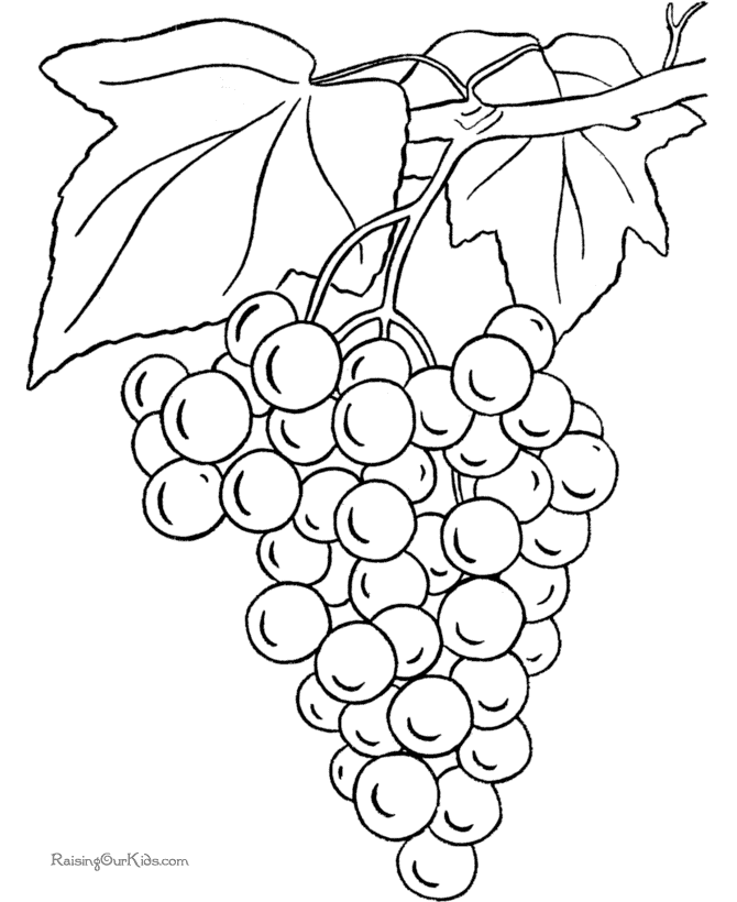 grapes-coloring-page-0032-q1