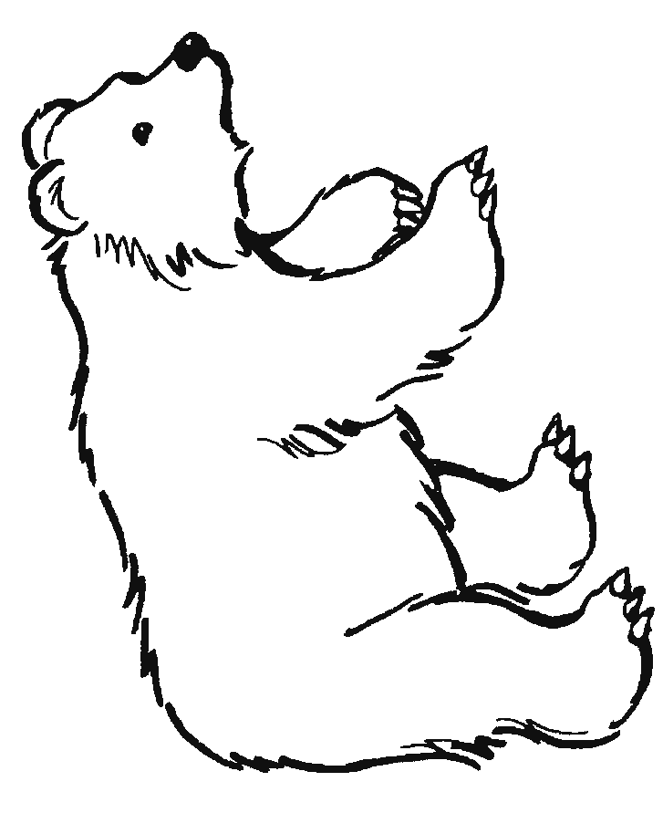 grizzly-bear-coloring-page-0001-q1
