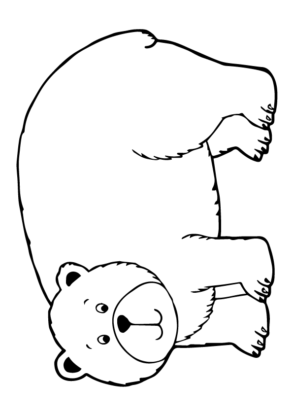 grizzly-bear-coloring-page-0014-q2