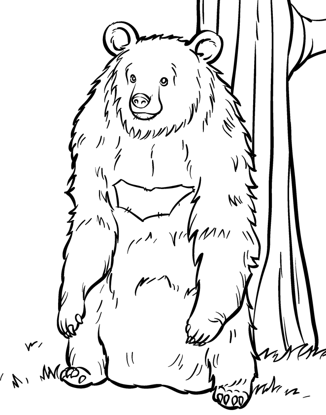 grizzly-bear-coloring-page-0018-q1