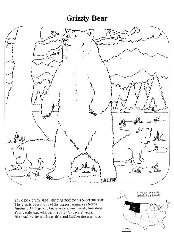 grizzly-bear-coloring-page-0022-q2