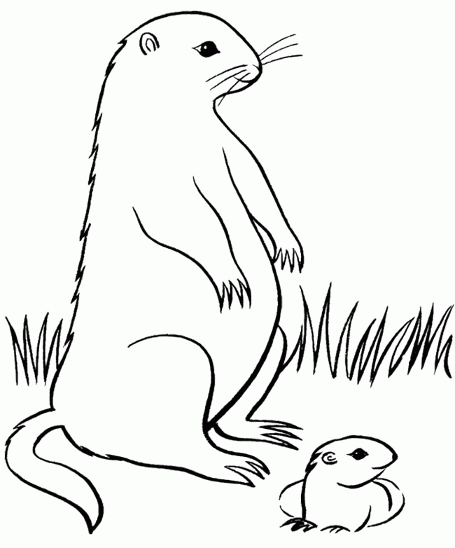 groundhog-day-coloring-page-0027-q1