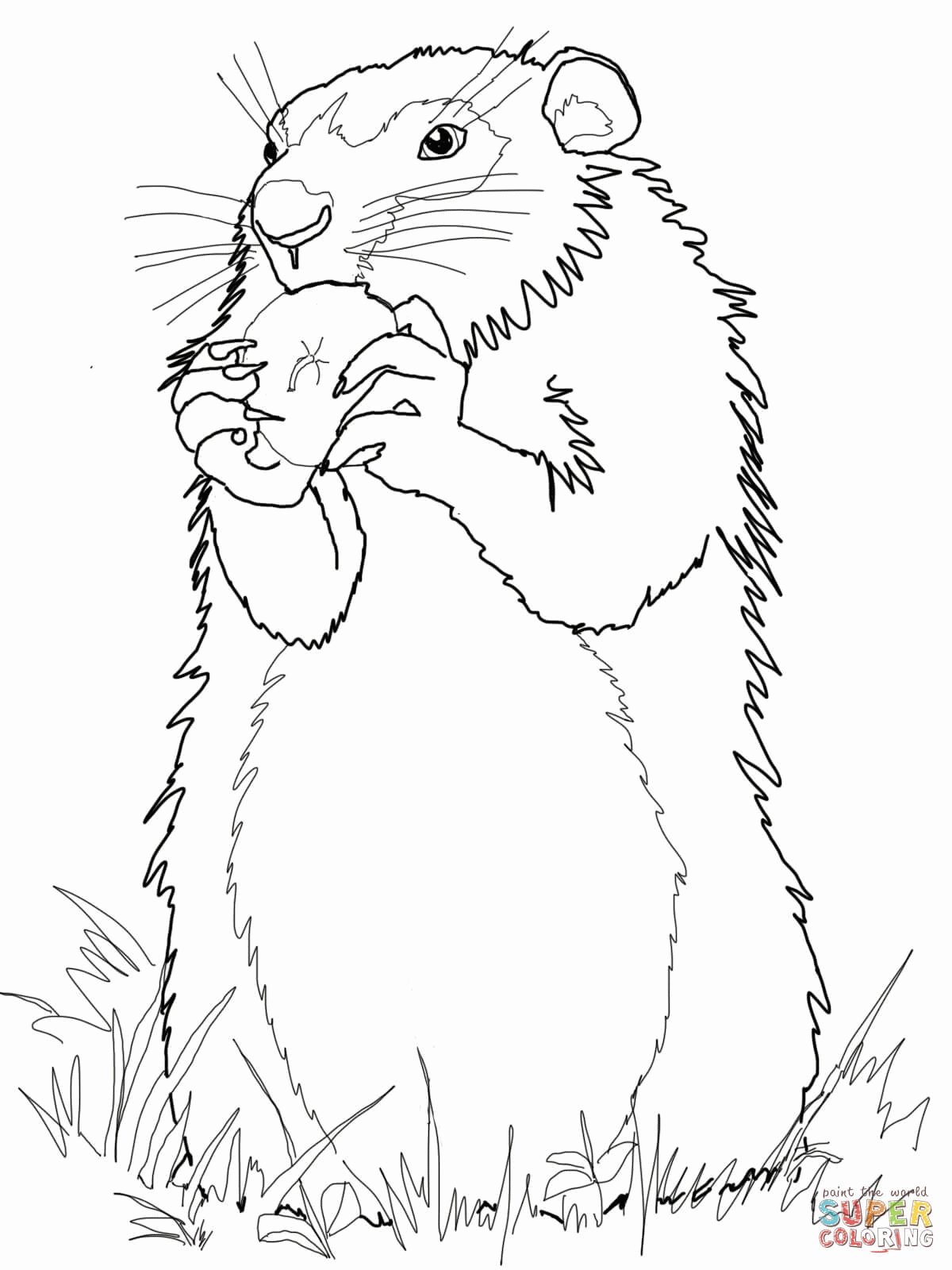 groundhog-day-coloring-page-0042-q1