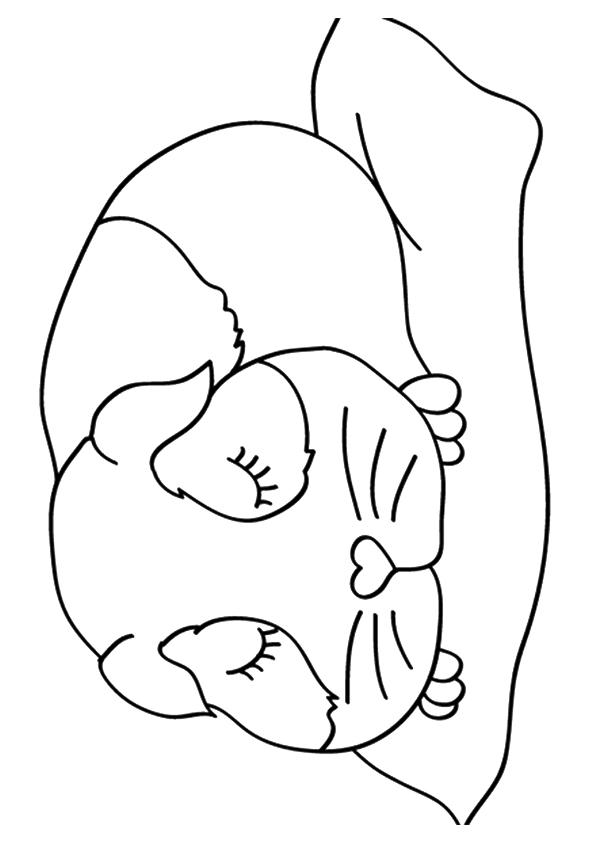 guinea-pig-coloring-page-0020-q2