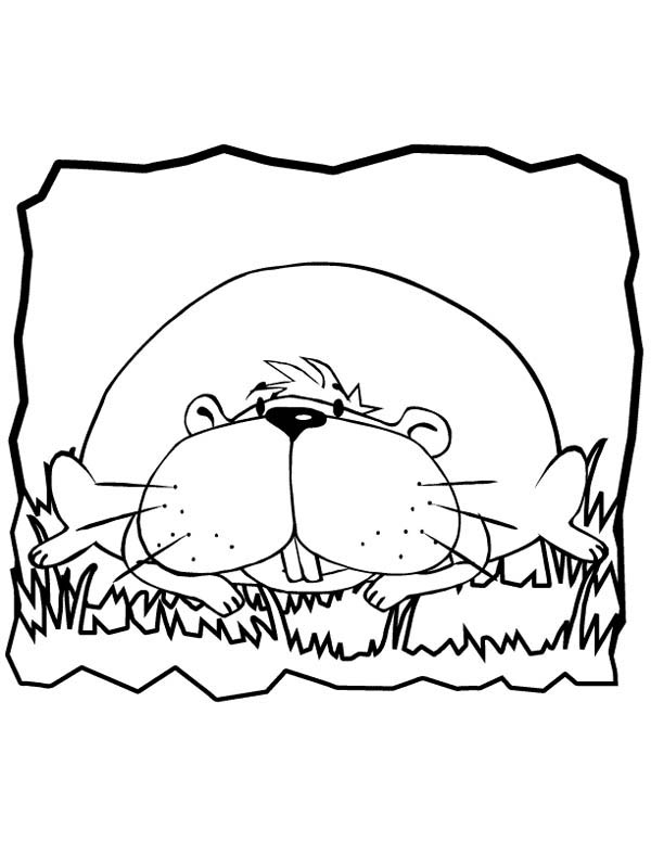 guinea-pig-coloring-page-0021-q1