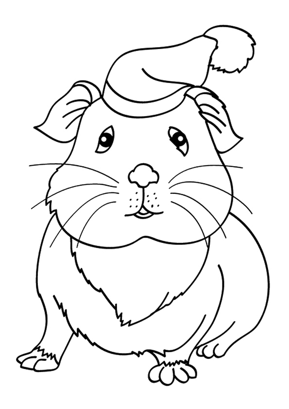 guinea-pig-coloring-page-0026-q2