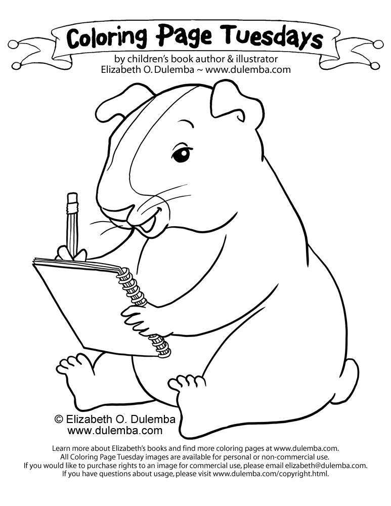 guinea-pig-coloring-page-0036-q1