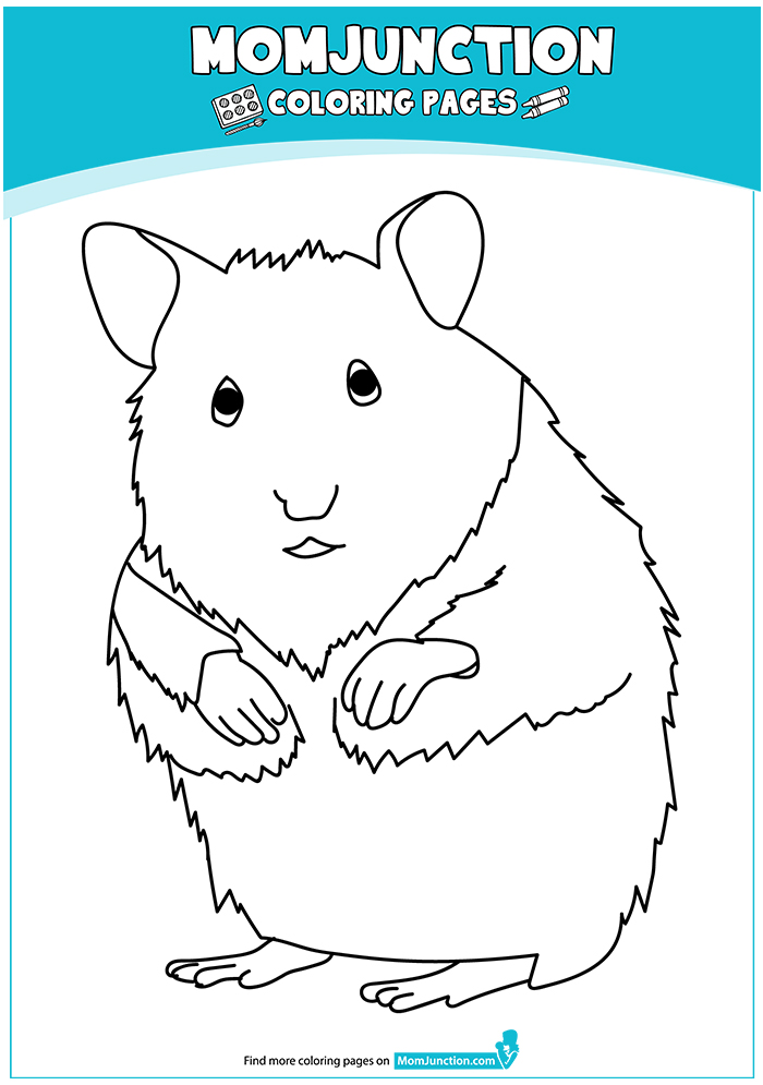 hamster-coloring-page-0003-q2