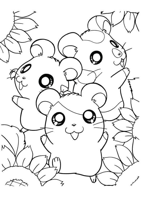 hamster-coloring-page-0005-q2