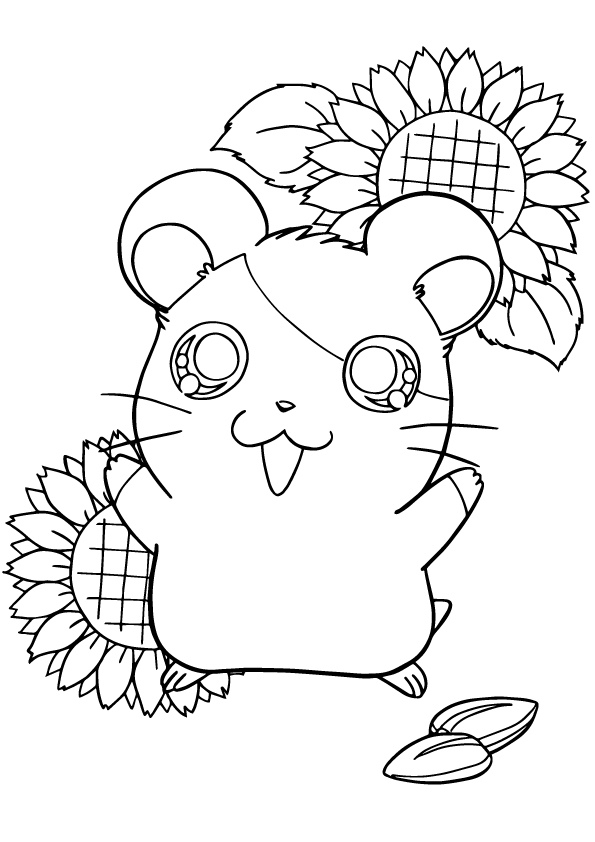 hamster-coloring-page-0008-q2