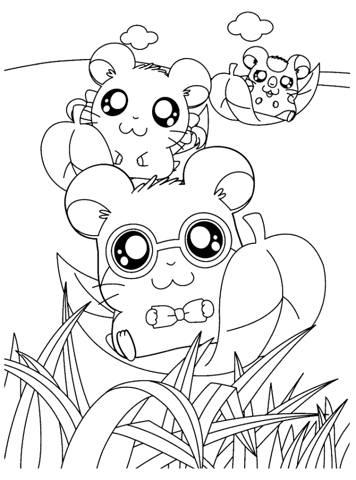 hamster-coloring-page-0009-q1