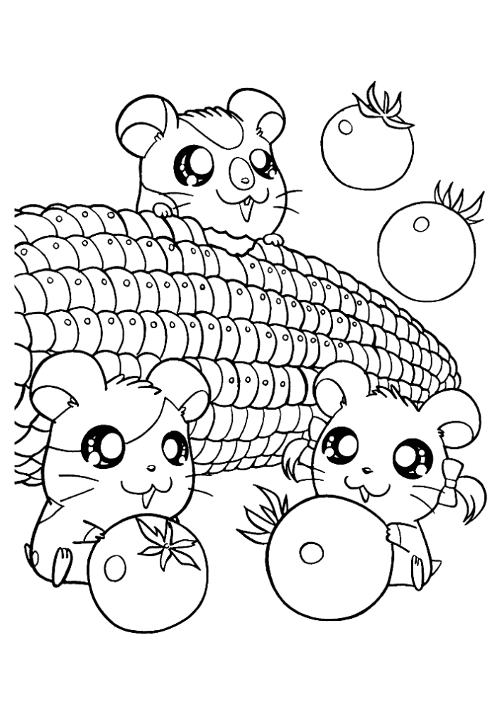 hamster-coloring-page-0010-q1