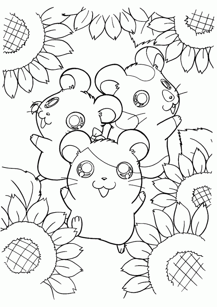 hamster-coloring-page-0011-q1