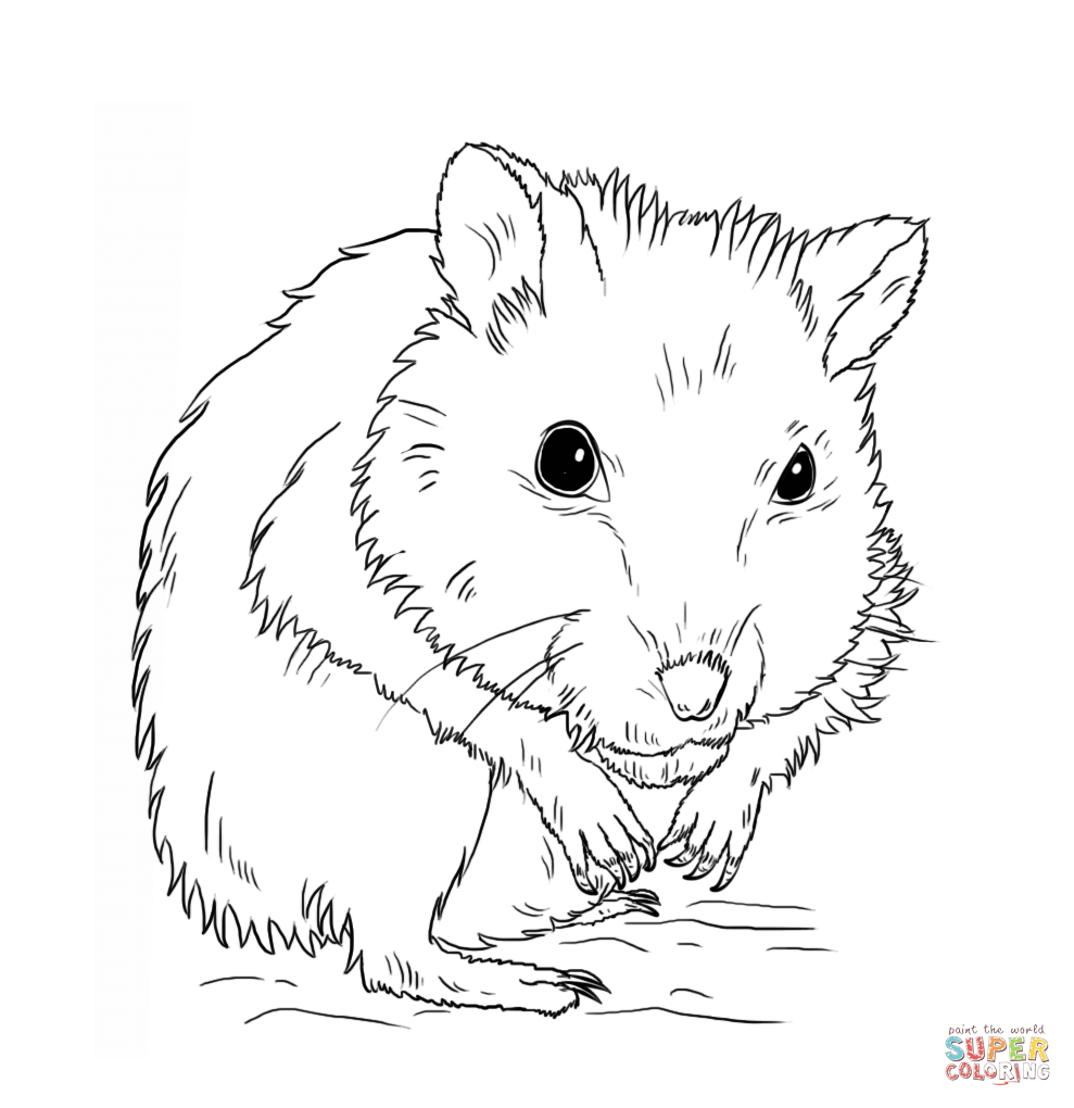 hamster-coloring-page-0014-q1