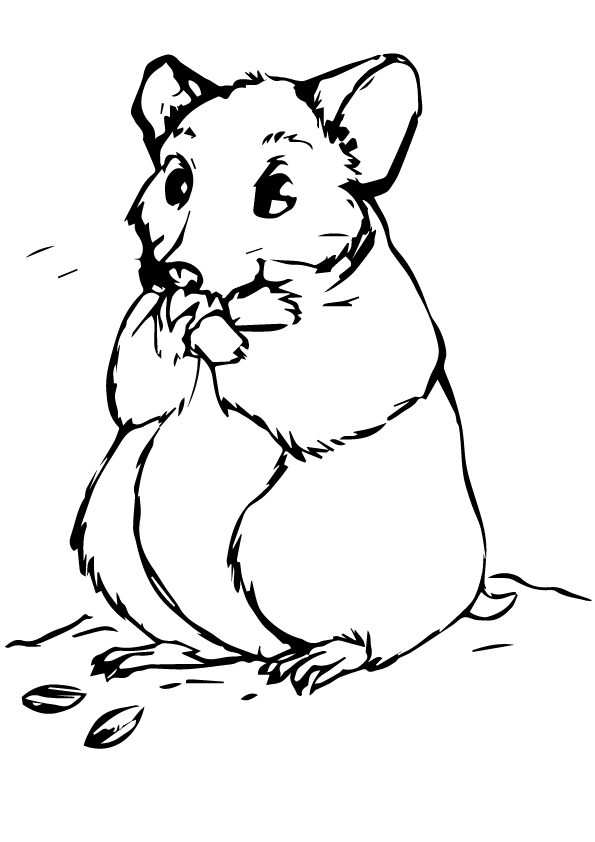 hamster-coloring-page-0019-q2