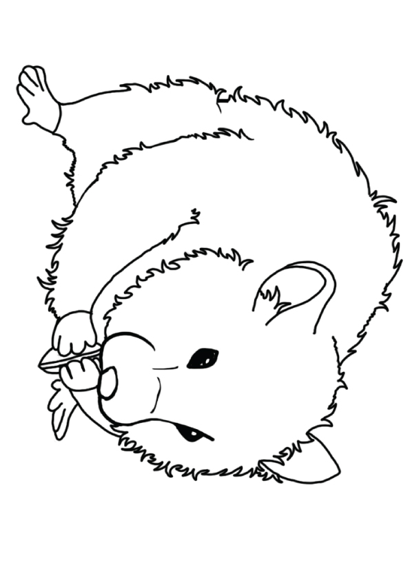 hamster-coloring-page-0023-q2