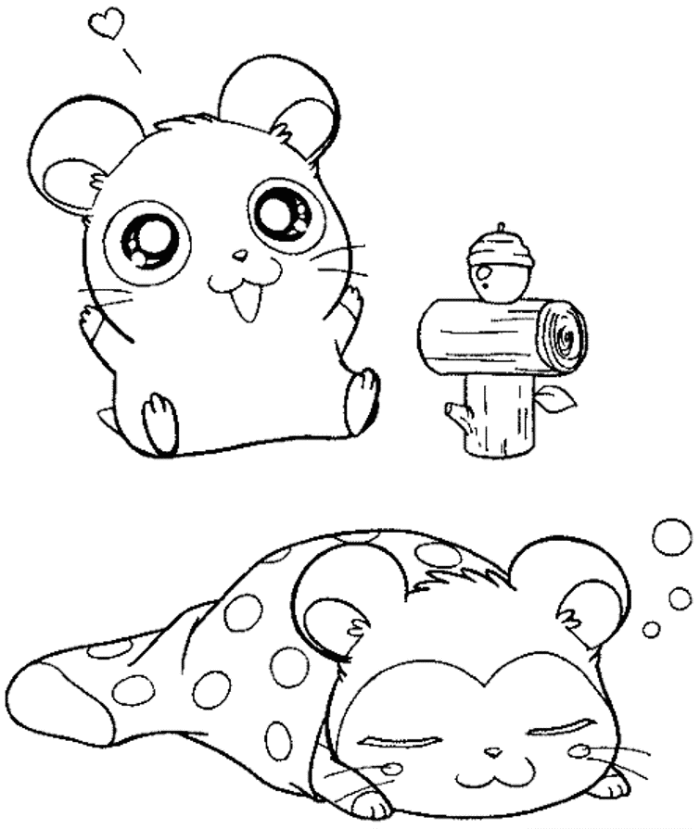 hamster-coloring-page-0029-q1