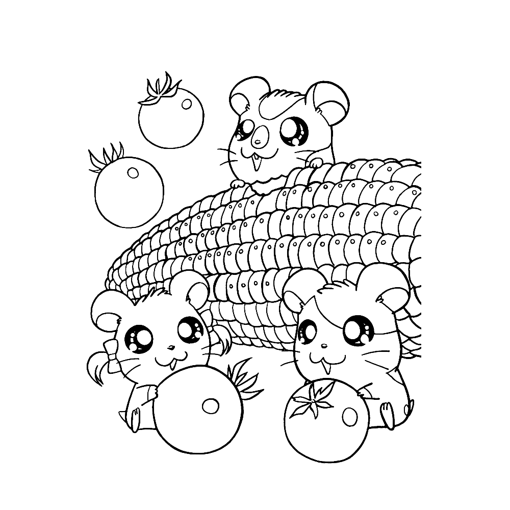 hamster-coloring-page-0031-q4