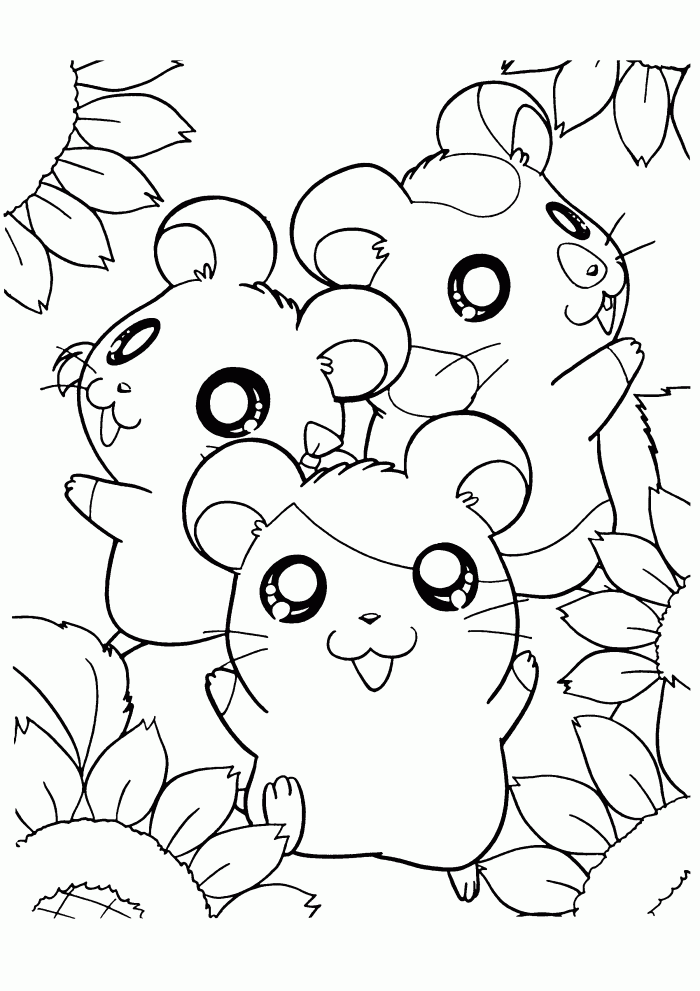 hamster-coloring-page-0032-q1