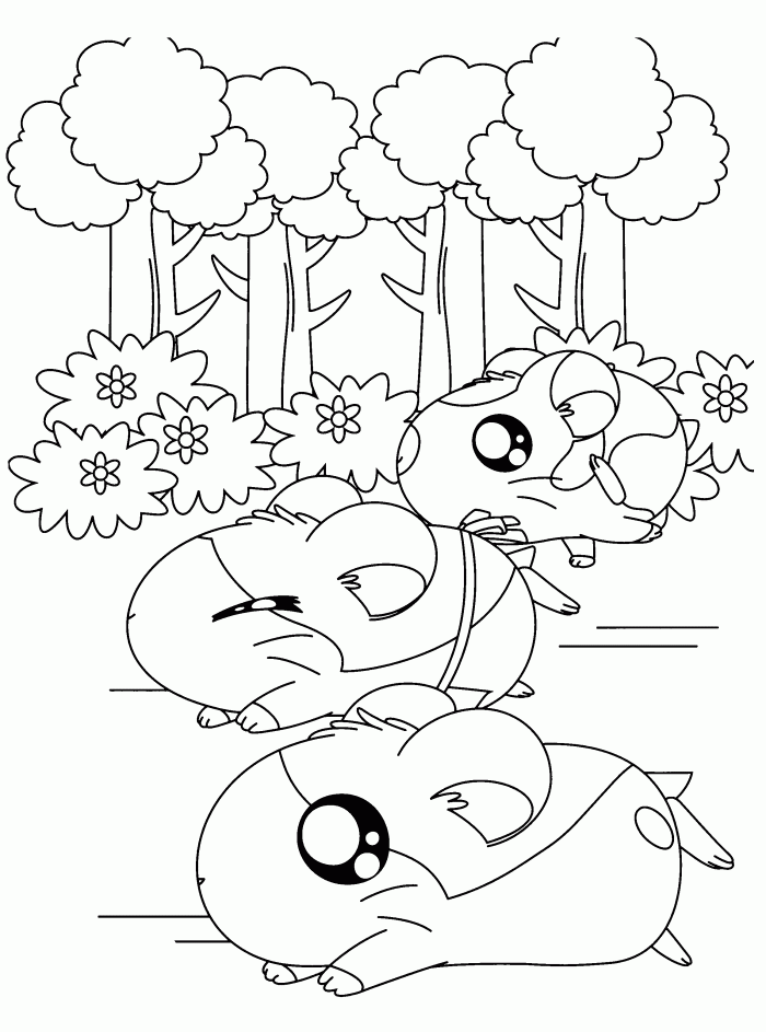 hamster-coloring-page-0033-q1