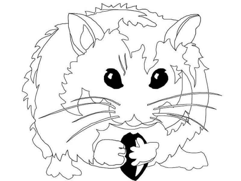 hamster-coloring-page-0041-q1