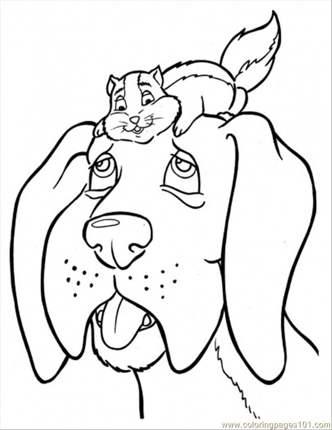 hamster-coloring-page-0043-q1