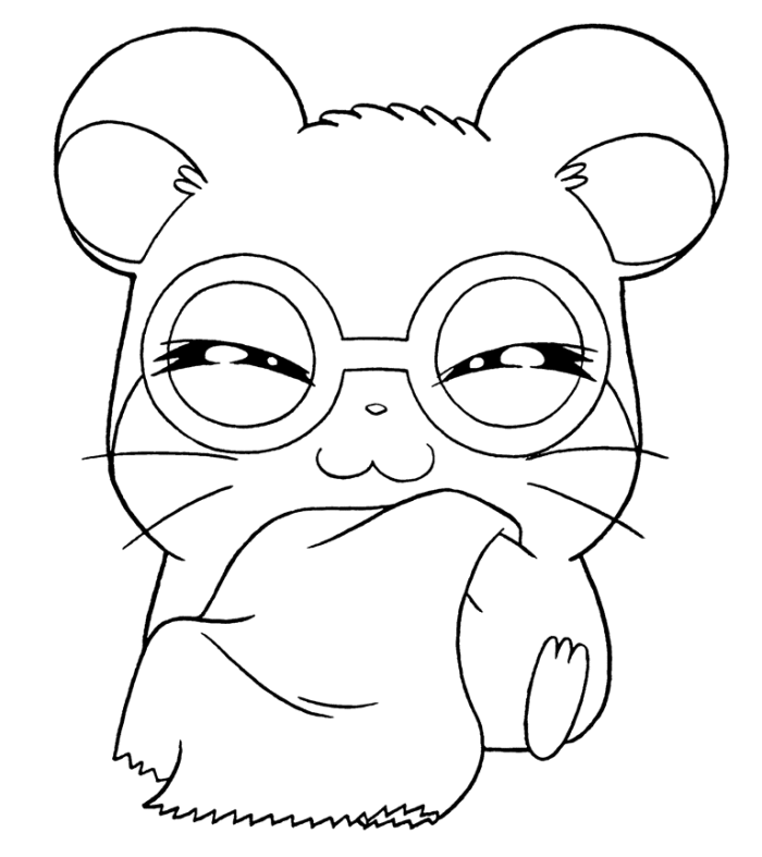 hamster-coloring-page-0044-q1