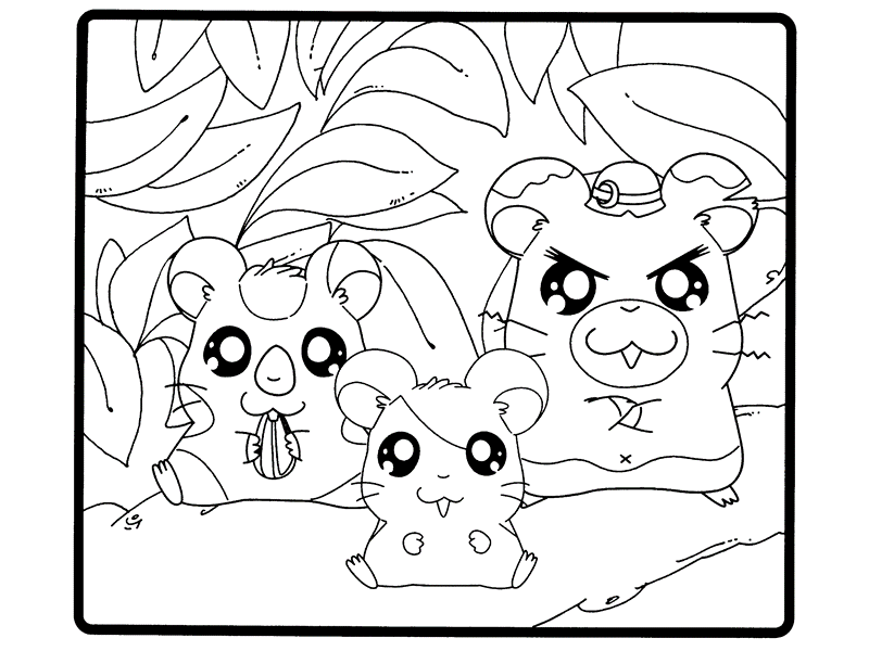 hamster-coloring-page-0046-q1