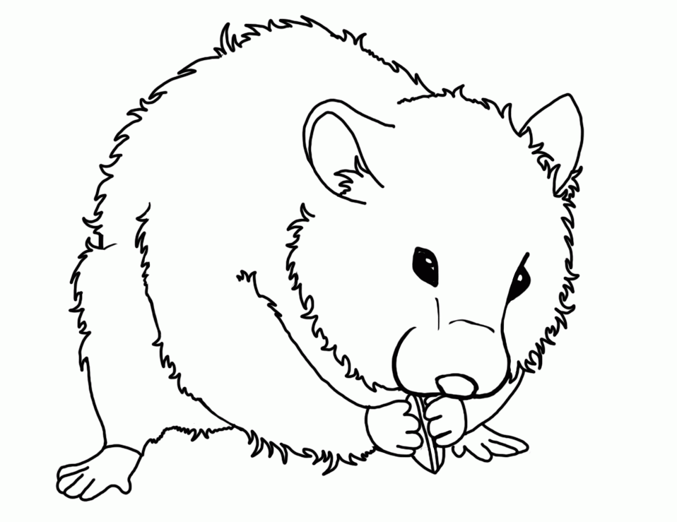 hamster-coloring-page-0047-q1