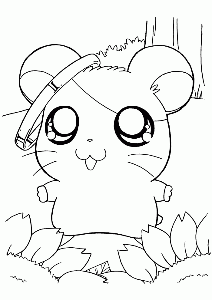 hamster-coloring-page-0051-q1
