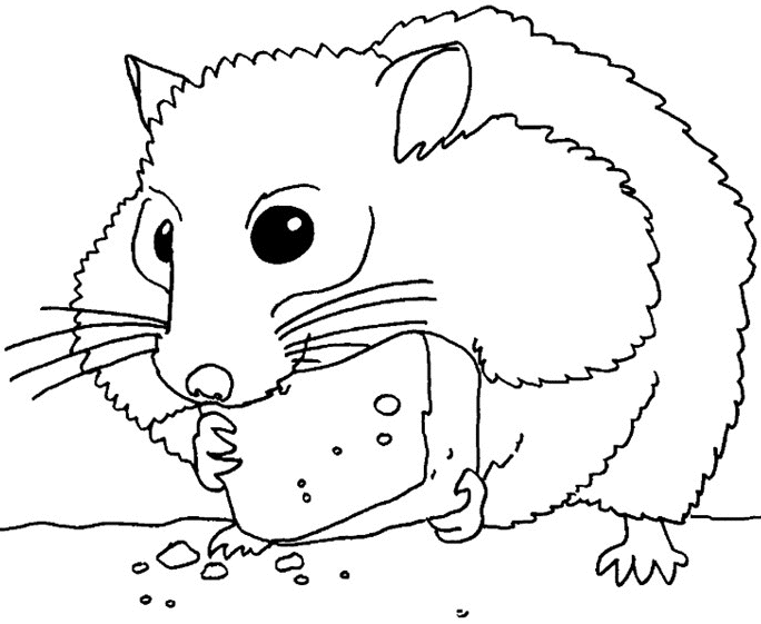 hamster-coloring-page-0054-q1