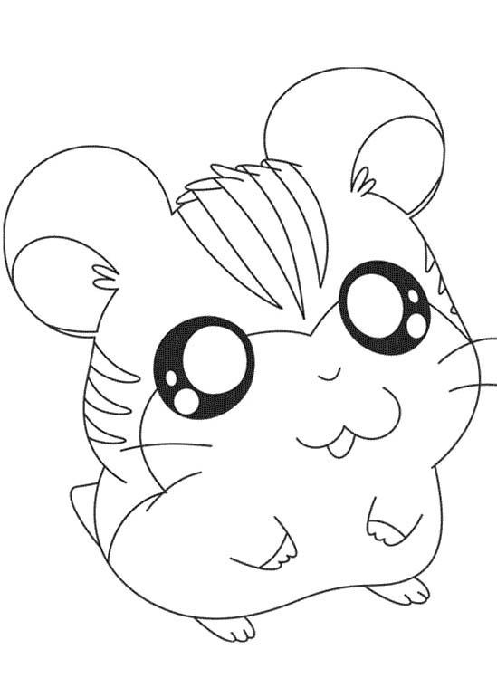 hamster-coloring-page-0059-q1