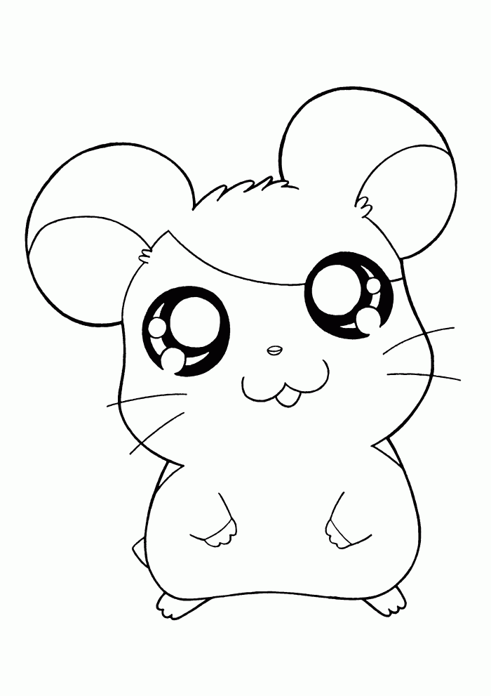 hamster-coloring-page-0073-q1