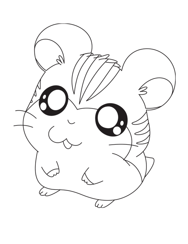 hamster-coloring-page-0080-q1