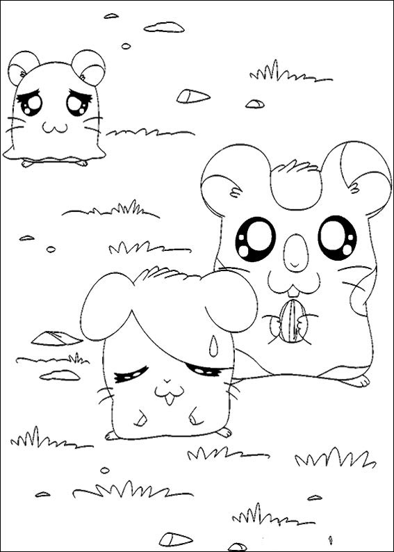 hamtaro-coloring-page-0031-q5