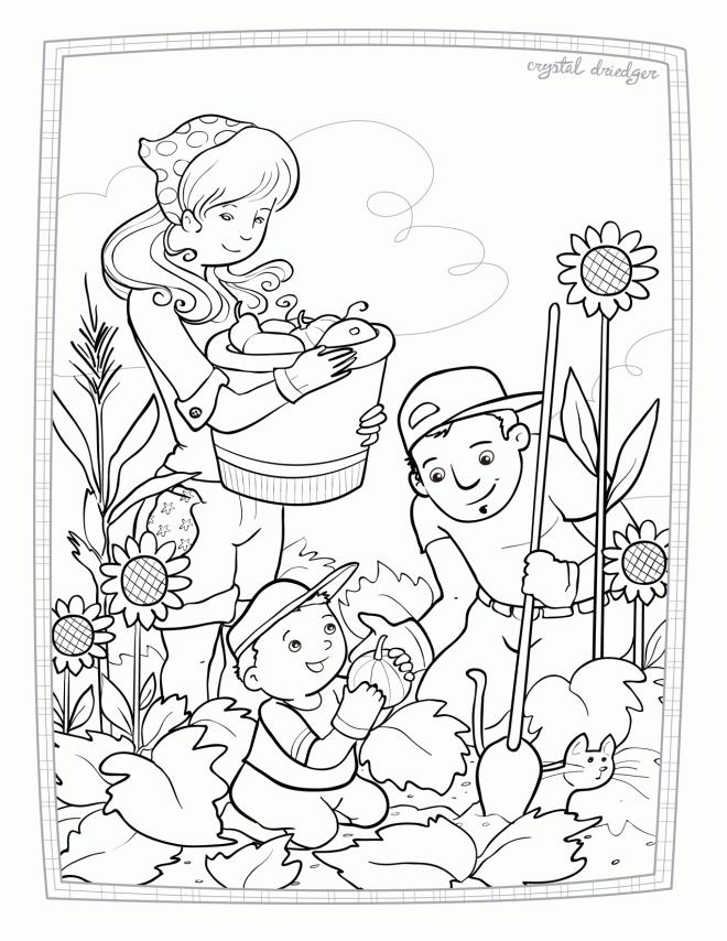 harvest-coloring-page-0007-q1