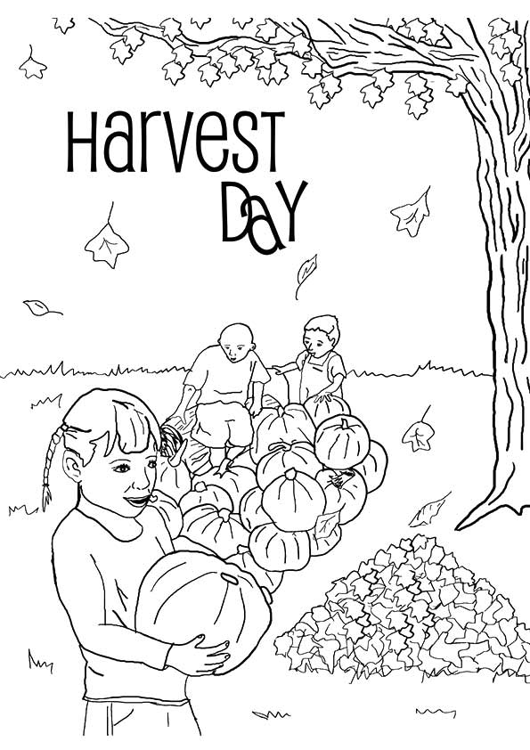 harvest-coloring-page-0018-q2