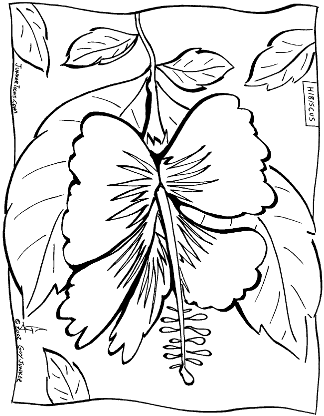 hawaii-coloring-page-0024-q1