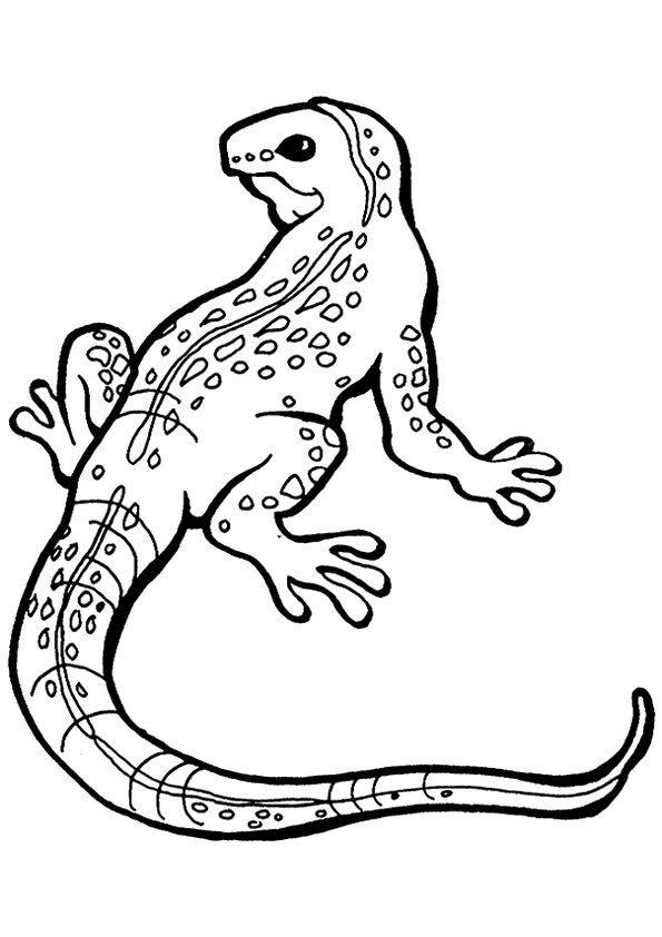 iguana-coloring-page-0008-q2