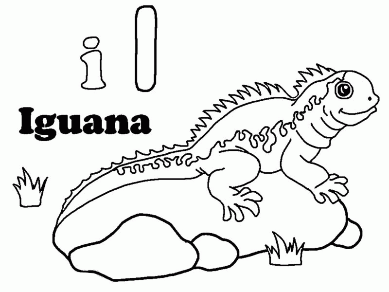 iguana-coloring-page-0011-q1