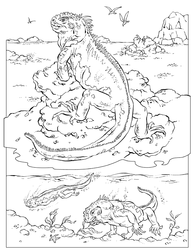 iguana-coloring-page-0014-q1