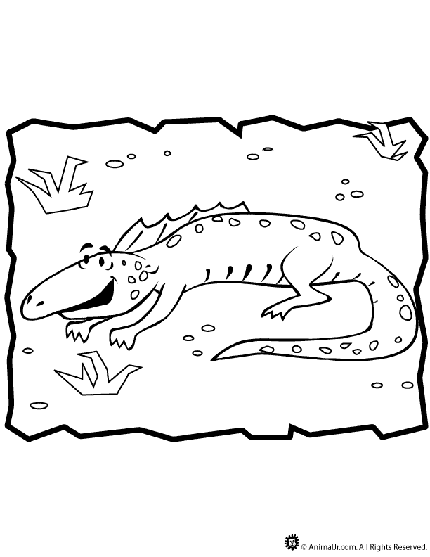 iguana-coloring-page-0023-q1