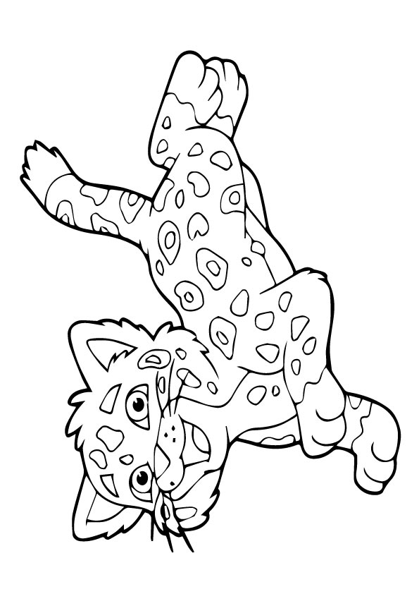 jaguar-coloring-page-0017-q2