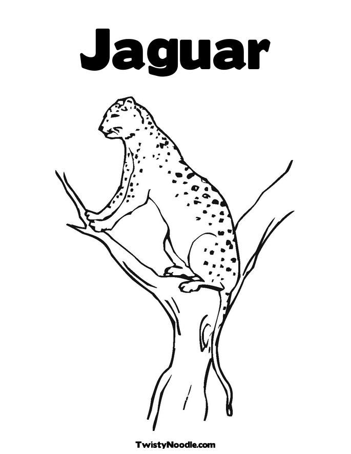 jaguar-coloring-page-0020-q1