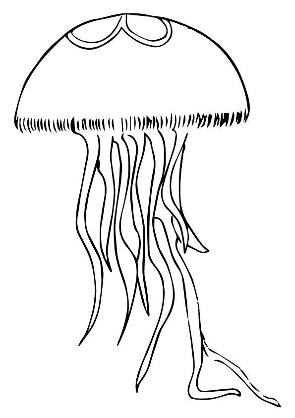 jellyfish-coloring-page-0012-q2