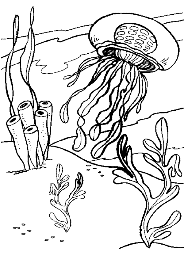 jellyfish-coloring-page-0034-q1